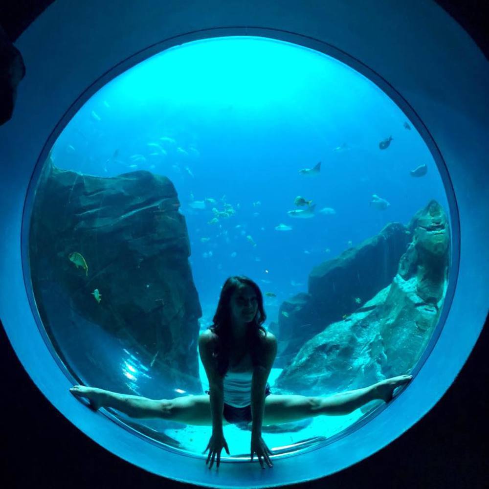 Meet your Posher, Mimi